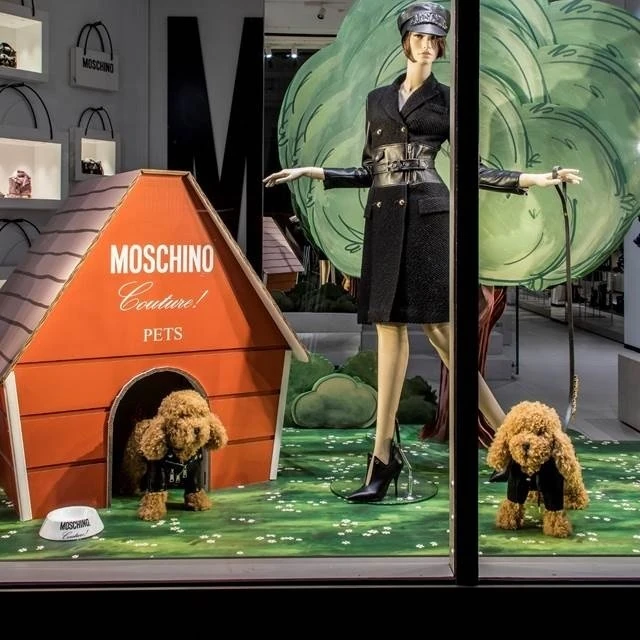Moschino Pet Collection - tailor-made displays