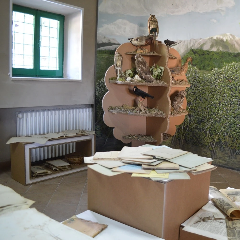 cardboard museum set-ups - Event and stand set-up